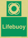 lifebuoy-with-symbol~